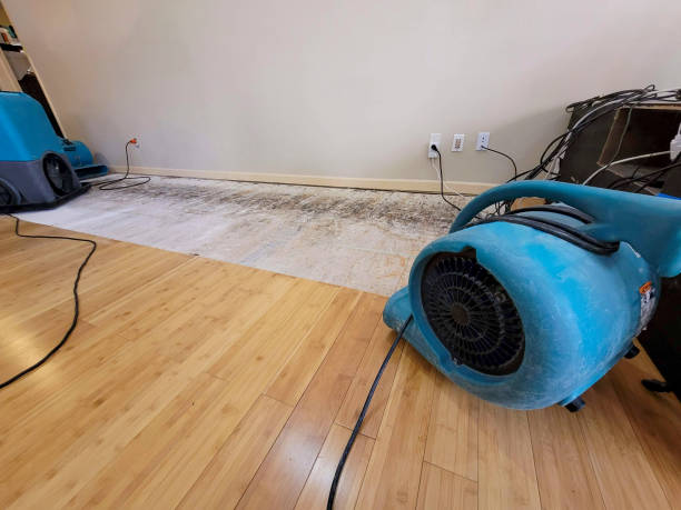 Professional Sewage Cleanup technician working in Fennville, MI